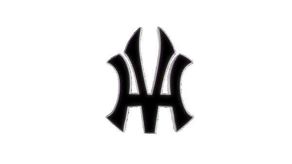 Hoodvisionarys logo