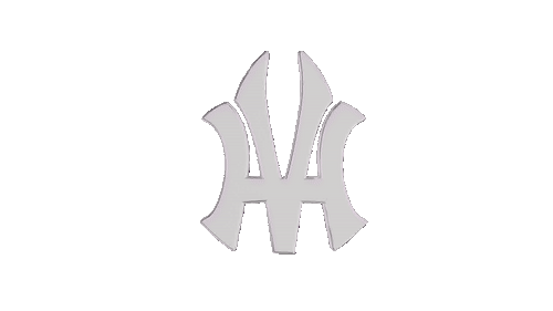 Hoodvisionarys